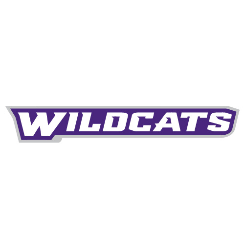 Abilene Christian Wildcats 2013-Pres Wordmark Logo1 Iron-on Transfers (Heat Transfers) N3683
